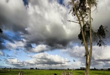 PG国际-赛地聚焦——欧超杯关键时刻热度飙升，西汉姆远射贴柱，媒体盛赞，资深球员宣示担当的简单介绍