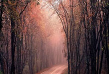 PG电子-Scout连续三场比赛得分超过回归赛场，公牛挑战极限！的简单介绍